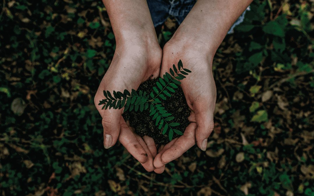 Tree on the hand